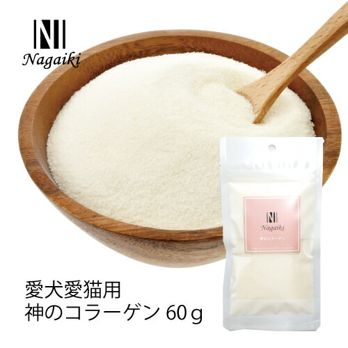 おりごん専用　ナツメのゲンガー おりごん専用 ナツメのゲンガー