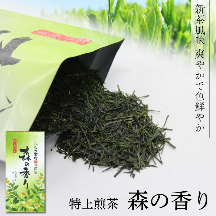 楽天市場】【八女産茶葉使用】特上煎茶 初みどり（100g）お茶
