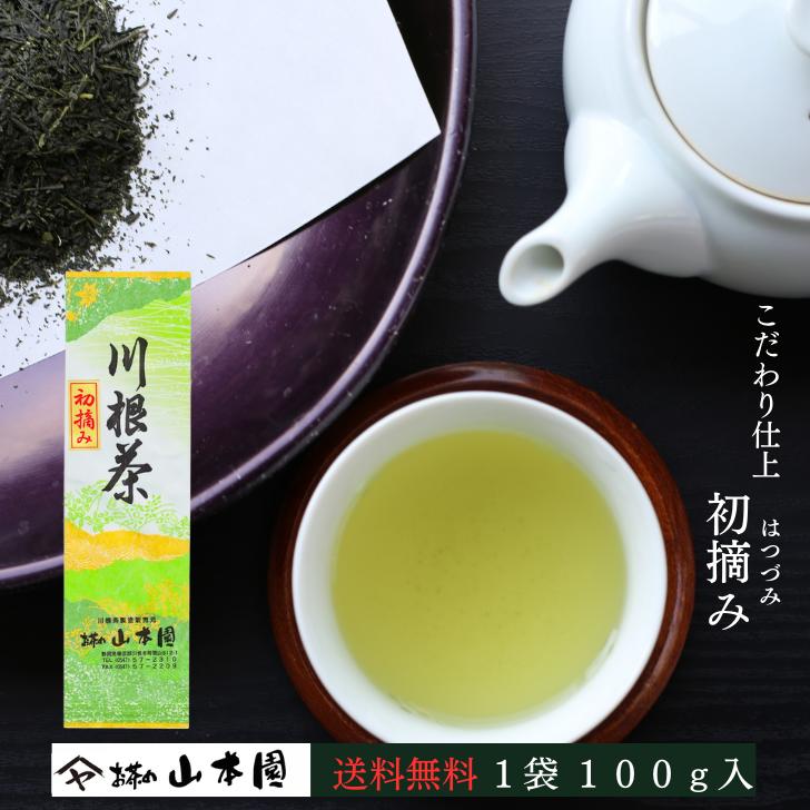 龍さん 100g×10袋 健康長寿の川根茶 農家直売 静岡茶 龍さん様専用