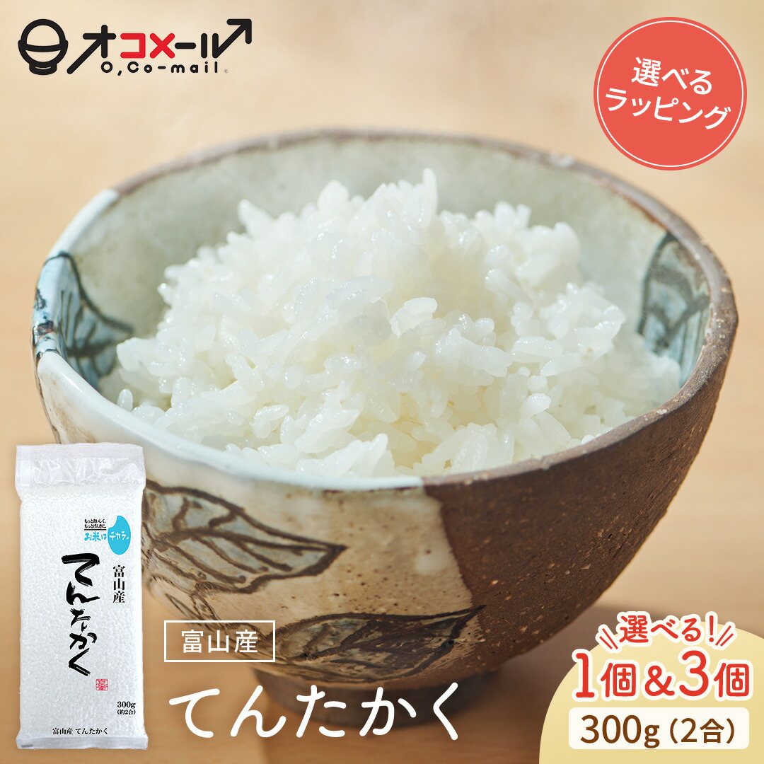 楽天市場】【リニューアル記念！全商品対象500円OFFクーポン配布中】令