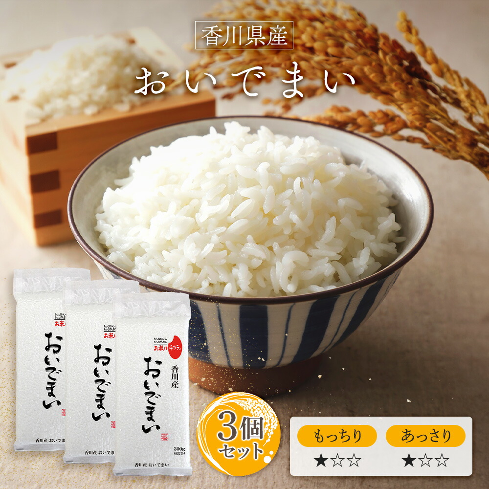令和6年産 米 送料無料 新潟県産 虹の煌めき 大粒 10kg （5kg×2
