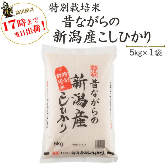 令和６年産　お米 5kg×1袋　　白米　特別栽培米　昔ながらの<br>新潟産こしひかり <br>送料無料(一部地域を除く)<br>