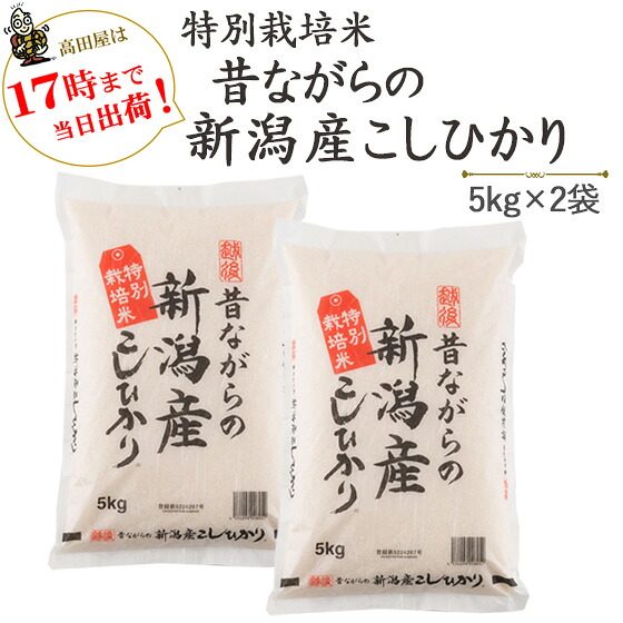 令和７年産 特別栽培米昔ながらの新潟産こしひかり５ｋｇｘ２袋【送料無料】(一部地域を除く) 8,736円