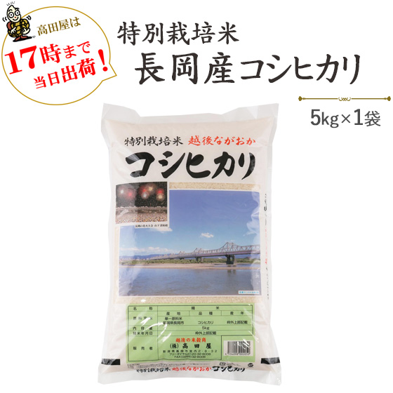 令和6年産 新潟 特別栽培米 長岡産コシヒカリ5kg×1袋 米 ≪高田屋お買い得企画≫送料無料(一部地域を除く) 【あす楽対応_本州】