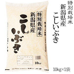 令和元年産特別栽培米新潟県産こしいぶき10kg&times;1袋(一部地域を除く)