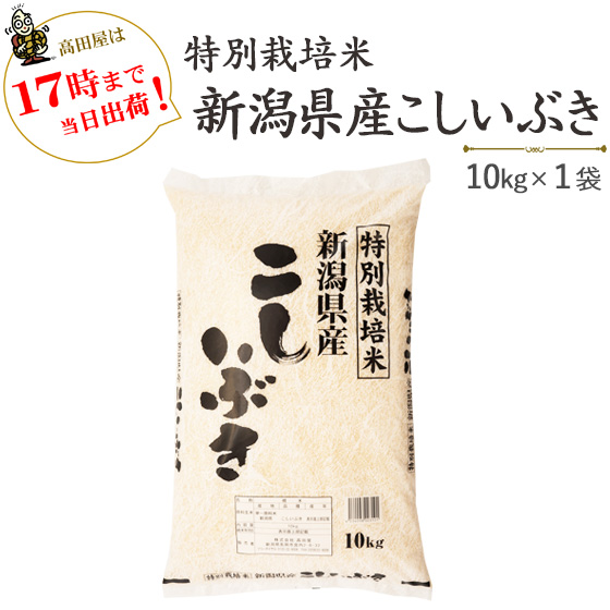 楽天市場】新米 令和５年産 白米特別栽培米新潟県産こしいぶき5kg