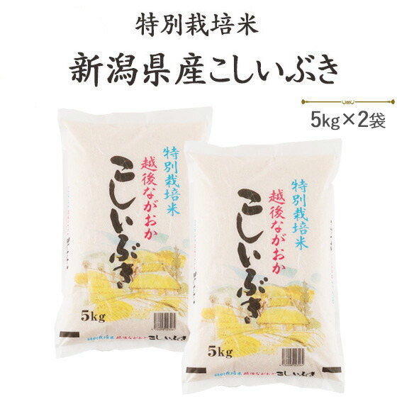 令和６年産　白米<br>特別栽培米新潟県産こしいぶき5kg×2袋【送料無料】(一部地域を除く)<br>