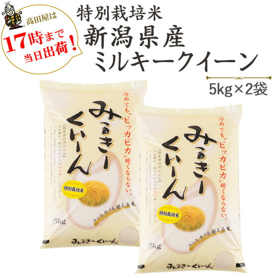 春のお買い得セール！ 10kg 新潟産ミルキークイーン 令和7年産 特別栽培米 5kg×2袋 白米 送料無料 (一部地域を除く)