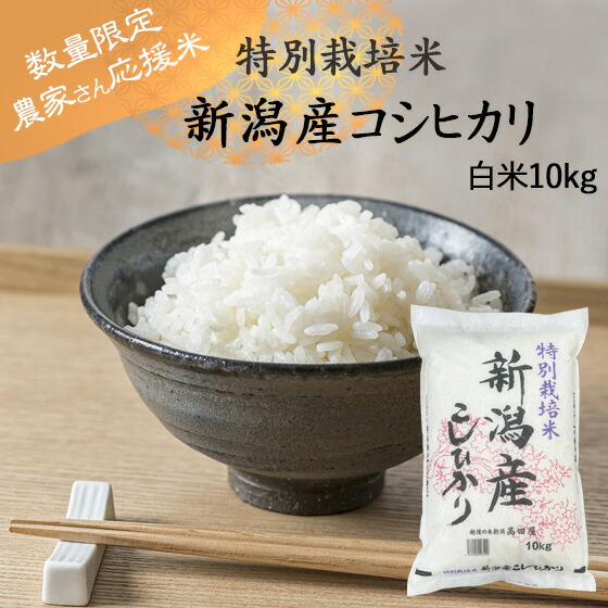 楽天市場】令和５年産 お米 5kg×1袋 白米 特別栽培米 昔ながらの新潟産