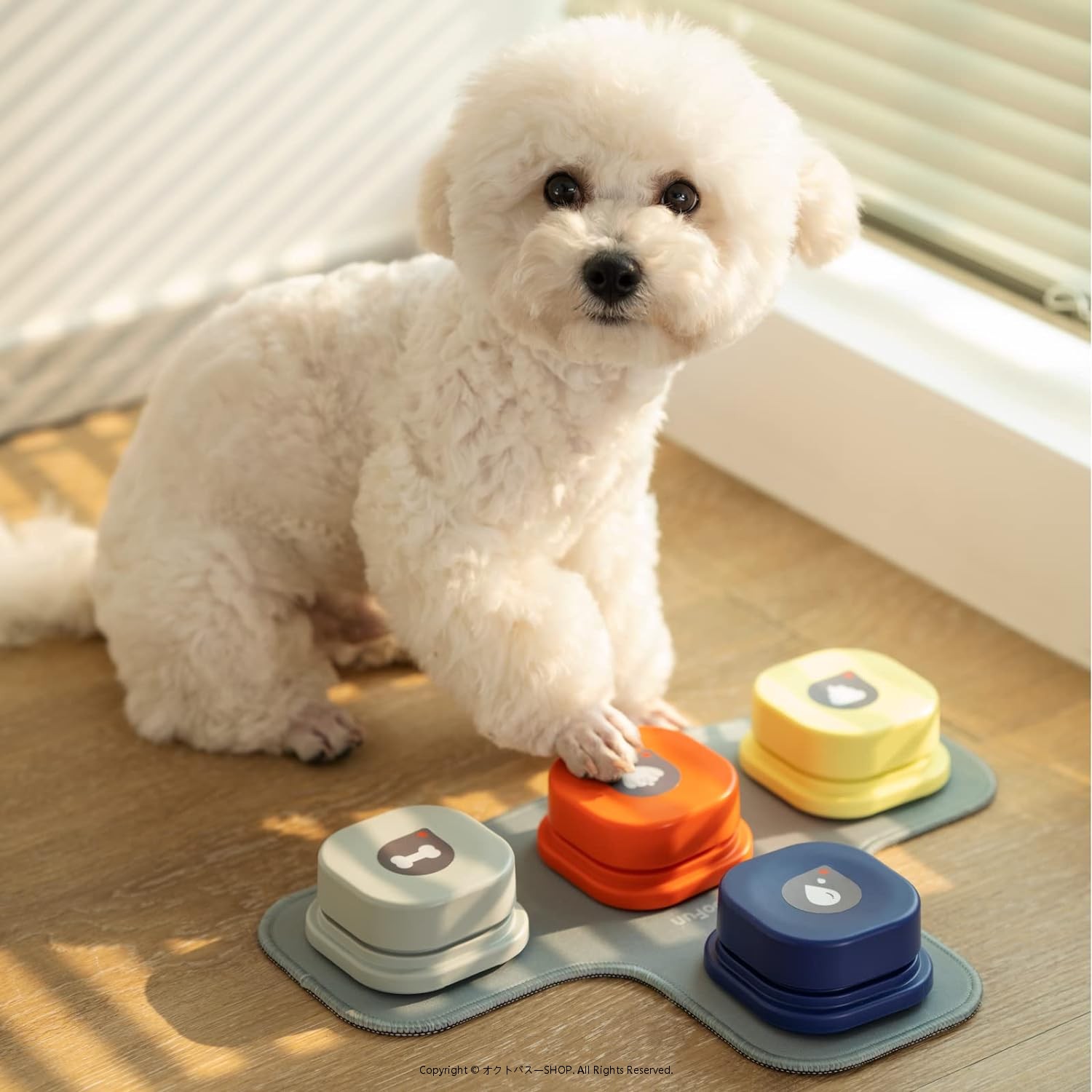 犬用 録音ボタン 会話ボタン 音声ボタン ベル コミュニケーション トレーニング コミュニケーションボタン しつけ訓練 ペット 知育 おもちゃ 天然ゴムマット付き 面白い玩具 ゲームアンサーブザー 音声録音ボタン 音声記録可能