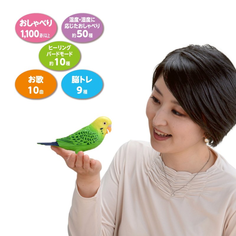 7月中旬入荷予定 タカラトミー 毎日おしゃべり 天才インコちゃん 本物そっくりなかわいいペット プレゼントにも Mavipconstrutora Com Br