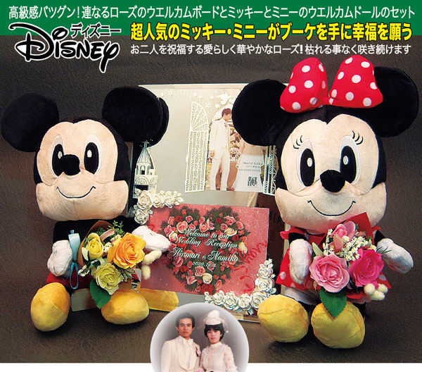 格安即決 Disney ディズニー ミッキー ミニー 高級ウエルカムボード ホワイトローズ ウエディング ドールのセット 沖縄と離島を除く 結婚式 結婚記念 結婚祝い 結婚祝いギフト 名入れ ウエディングドール ブライダルギフト Rcp メーカー包装済