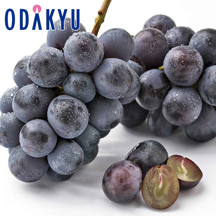 ブドウ 送料無料 山梨県産 匠の葡萄 笛吹種なしピオーネ2房 約0.9kg ｜7月上旬以降のお届け※沖縄・離島へは届不可(直)｜小田急百貨店店