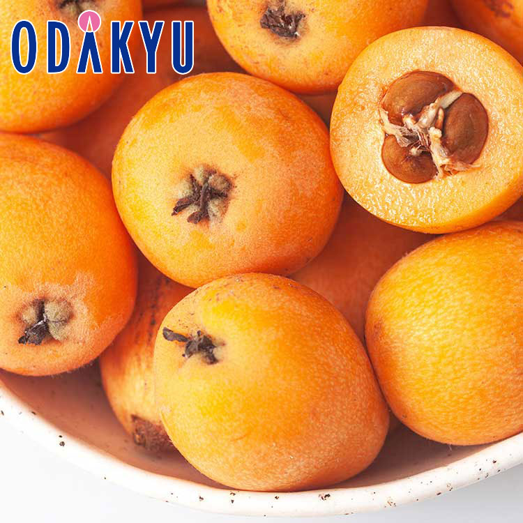 ビワ フルーツ 送料無料 長崎県産 甘香びわ期間限定 約0.7kg 秀 ｜7-12日程度でのお届け※沖縄・離島へは届不可(直)