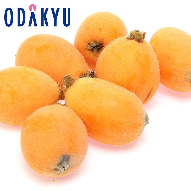 ビワ フルーツ 送料無料 種なしびわ 千葉県産 希房びわ 約0.4kg 秀 ｜7-12日程度でのお届け※沖縄・離島へは届不可(直)