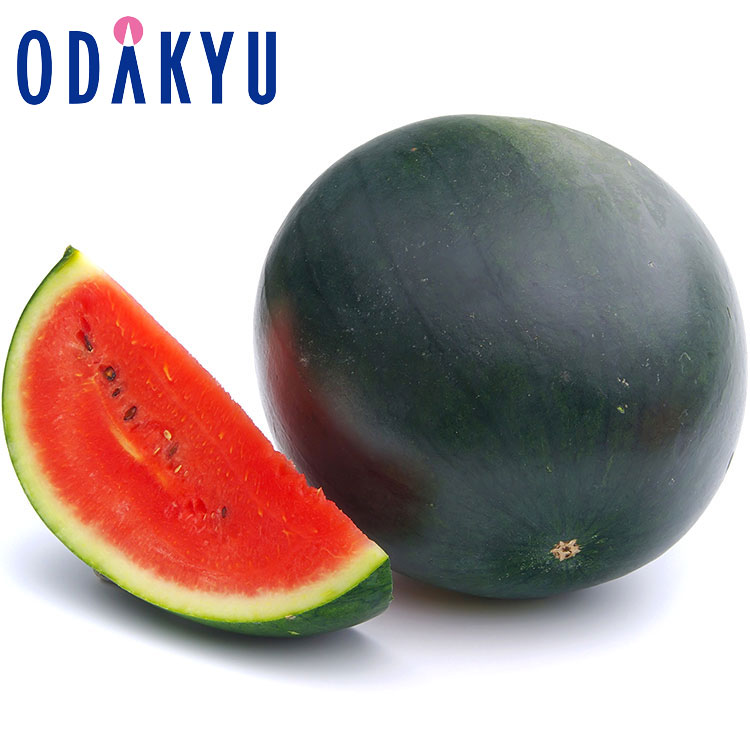 すいか フルーツ 送料無料 熊本県産 黒小玉スイカ 約4.8kg 秀 ｜7-12日程度でのお届け※沖縄・離島へは届不可(直)