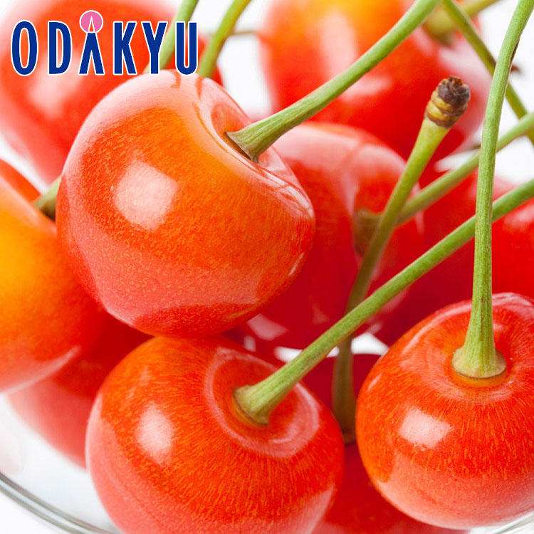 さくらんぼ フルーツ 送料無料 山形県産 佐藤錦 300ｇ 化粧箱詰め 約0.3kg 特 秀 ｜5月中旬以降のお届け※沖縄・離島へは届不可(直)
