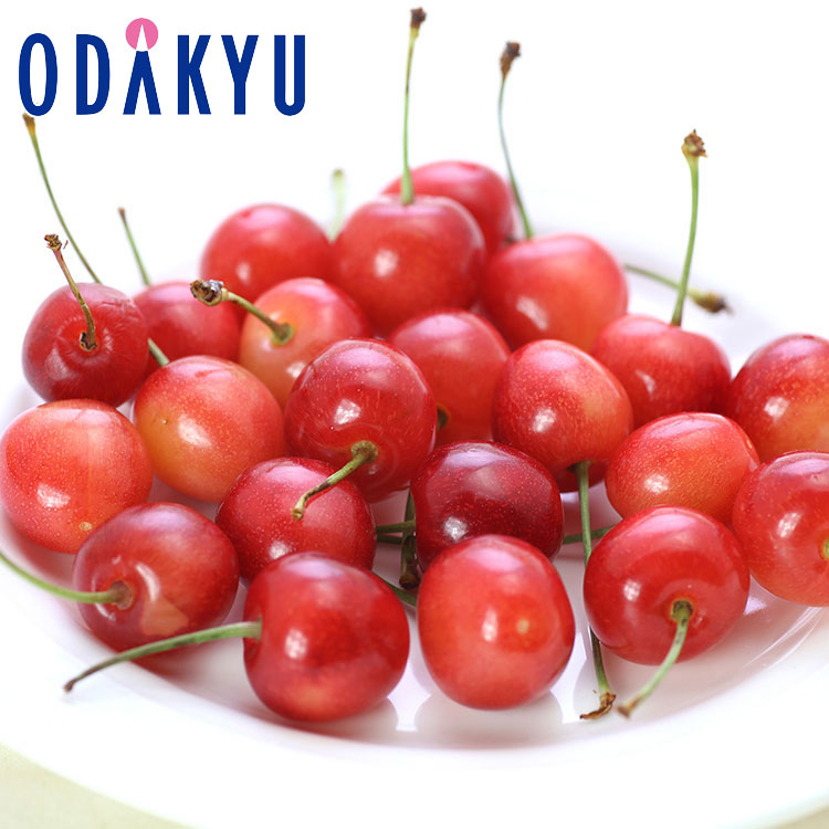 さくらんぼ フルーツ 送料無料 山形県産 佐藤錦 100ｇ × 2パック 約0.2kg 特 秀 ｜5月中旬以降のお届け※沖縄・離島へは届不可(直)