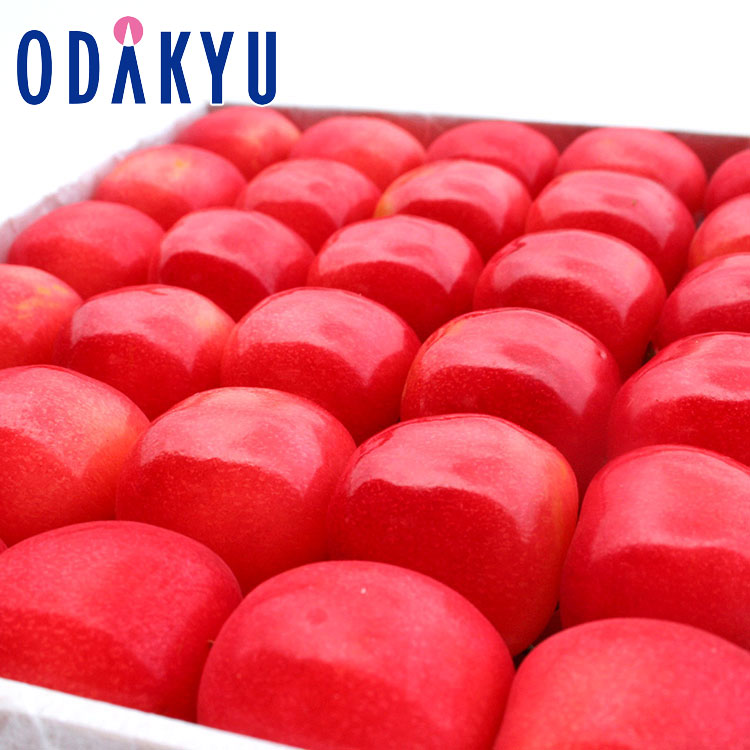 さくらんぼ フルーツ 送料無料 山形県産 紅秀峰 300ｇ 化粧箱詰め 約0.3kg 特 秀 ｜5月中旬以降のお届け※沖縄・離島へは届不可(直)