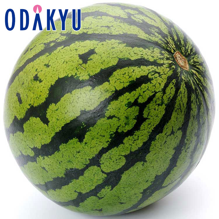 すいか フルーツ 送料無料 熊本県産 すいか 約3.8kg 秀 ｜7-12日程度でのお届け※沖縄・離島へは届不可(直)