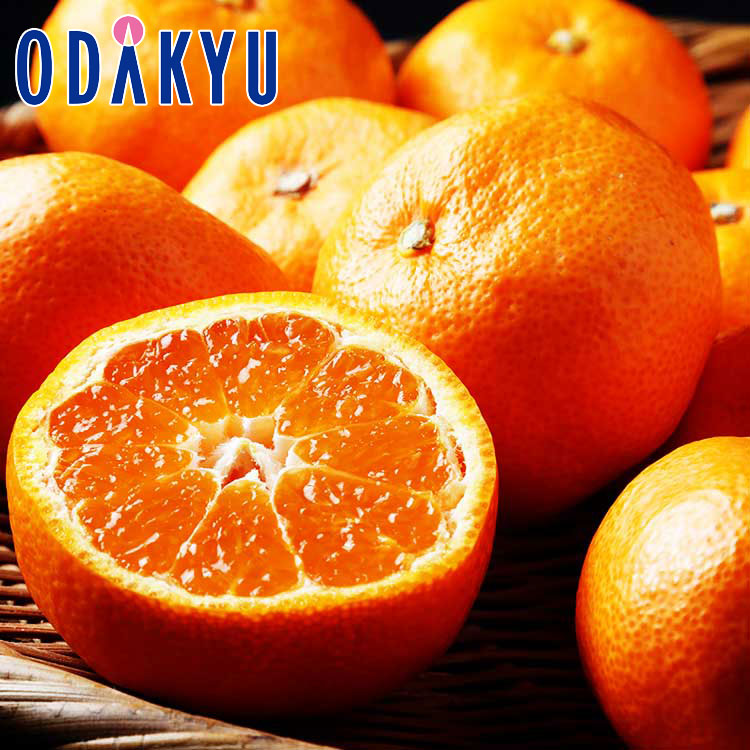 楽天市場】愛媛産 味ピカ 小太郎みかん 2kg 30個〜50個 化粧箱入