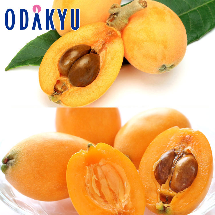 フルーツ 旬 野菜 送料無料 初夏びわ食べ比べ 長崎びわ ＆ 唐川びわ 計2パック ｜5月中旬以降のお届け※沖縄・離島へは届不可(直)