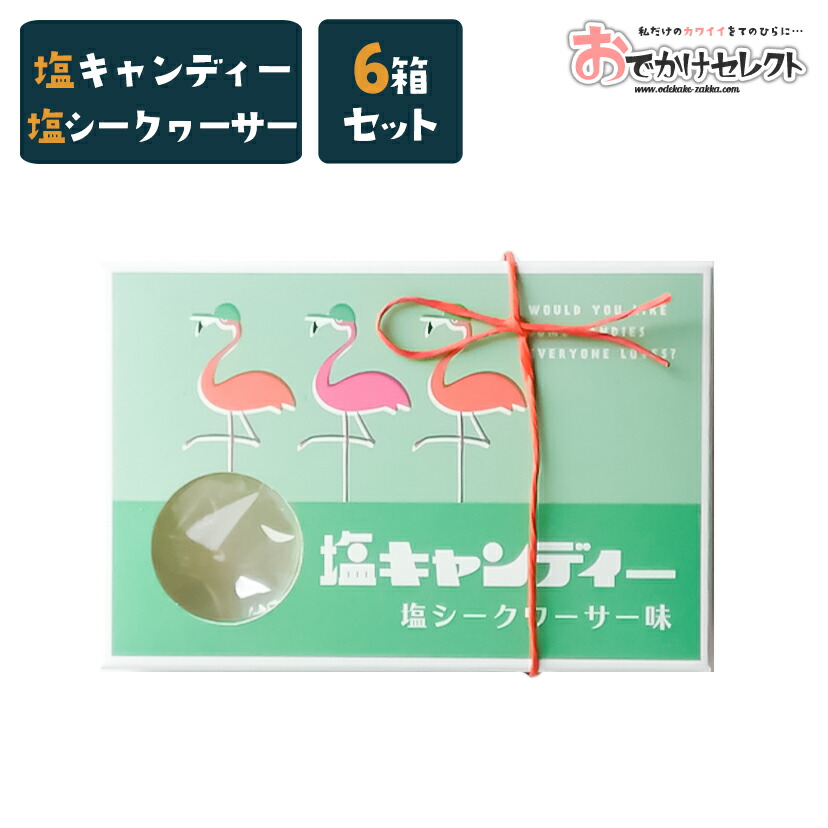 プチギフト ギフト お菓子 塩 キャンディ 飴 塩飴 塩キャンディ 熱中症対策 夏 暑さ対策 おしゃれ かわいい 国産 個包装 お返し お礼 挨拶 デザイン フラミンゴ 塩シークワーサー シークワーサー 激安挑戦中