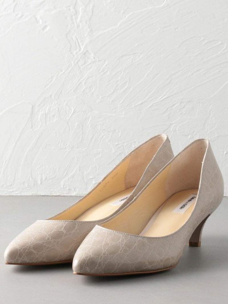 豪華 Sale 46 Off Ofd ポインテッド パンプス45 Odette E Odile オデット エ オディール シューズ パンプス グレー ブラック ベージュ イエロー ブルー ネイビー Rba E Rakuten Fashion 魅了 Ledefiscad Com