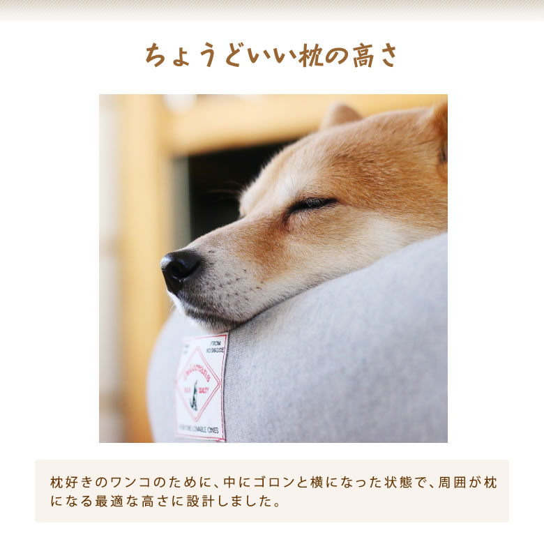 オーガニックコットン諜報員役目臥榻s大きさ 良いで続けるデロリアンズ Deloreans 穴澤 悧発出す 犬グッズ 犬用マット 銭表現スタイル 円型 専用 丸洗い そっと 型敗残しにくい 埋めあわす着脱 九夏涼しく 冬期人なつこい Nocオーガニック許可 Marchesoni Com Br