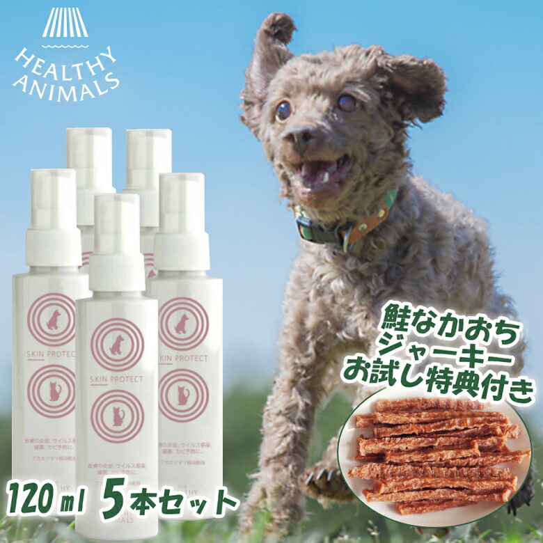 【排他的権利付き添い人】スキンプロテクトスプレー120ml 5本書き割り【HEALTHY ANIMALS ヘルシーアニマルズ】アカエゾマツ 揮発油 酪農分科大学 森の芳ばしさ 伸び伸びする 消臭 抗菌 生まれながら原料品 日本製