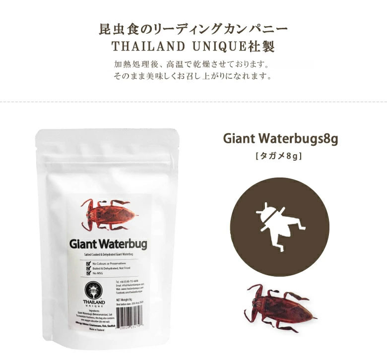 楽天市場 昆虫食 食用 閲覧注意 良質な脂質が含まれた高栄養食 高蛋白で低糖質 豊富なアミノ酸 ミネラルthailand Unique 昆虫食 タガメ 罰ゲーム タガメ たがめ おやつ スナック菓子 栄養満点 完全食 和食 高級食材 甲殻類 アレルギー 想いを繋ぐ百貨店 Tsunagu