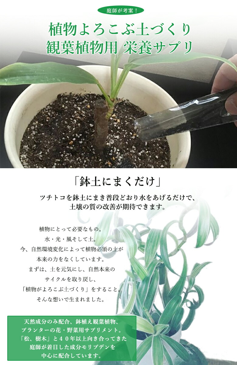 楽天市場 鉢植えのツチトコ １箱 粉状７ｇ ３袋入り 栄養 Tsuchitoco ツチトコ 天然成分 栄養剤 観葉植物 ミネラル 栄養 肥料 おいしくなる プランター １鉢に1年に１回 樹木の耐虫 耐病性向上 想いを繋ぐ百貨店 Tsunagu