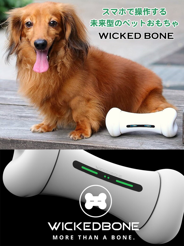 楽天市場 ウィキッドボーン Wicked Bone ペット おもちゃ スマホで簡単操作 犬 猫 留守番 コミュニケーションツール ストレス発散 運動不足 解消 ペット用品 国内正規品 保証 想いを繋ぐ百貨店 Tsunagu