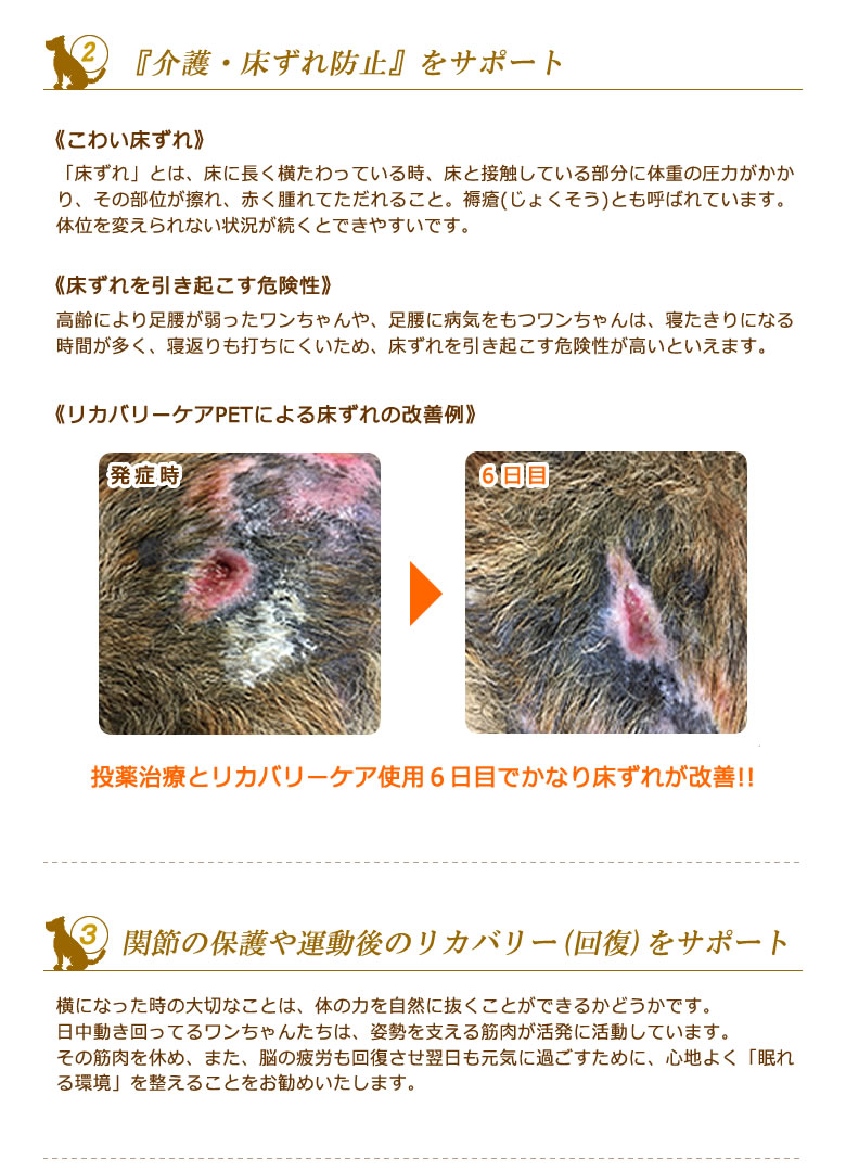リカバリーケア PET Mサイズ 芦屋バティーズ 西川リビング 目安犬種
