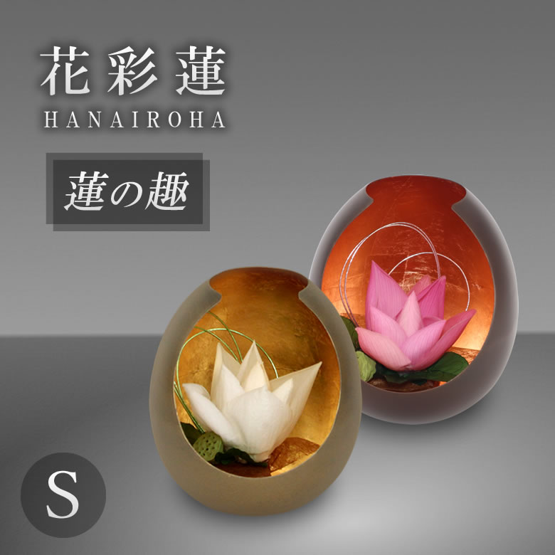 楽天市場】花彩蓮（はないろは）蓮の趣 Mサイズ アトリエ・モノ