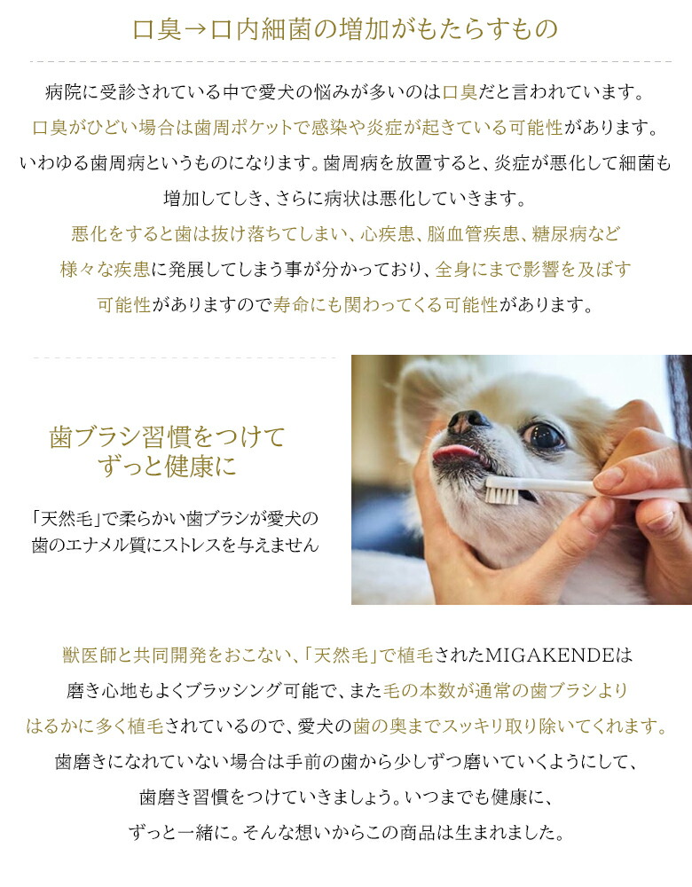 【ミガケンデMIGAKENDE天然毛歯ブラシ】犬用愛犬ワンちゃん小型犬犬用歯ブラシペット用歯ブラシ【ペット専用歯磨きジェルデンタアプローチペティ25g】dentaapproachpetyコウヤマキエキス