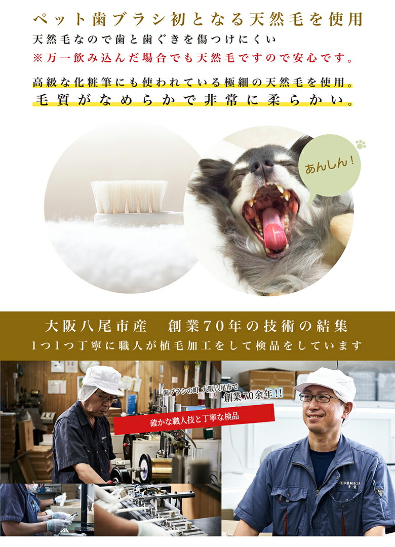 【ミガケンデMIGAKENDE天然毛歯ブラシ】犬用愛犬ワンちゃん小型犬犬用歯ブラシペット用歯ブラシ【ペット専用歯磨きジェルデンタアプローチペティ25g】dentaapproachpetyコウヤマキエキス