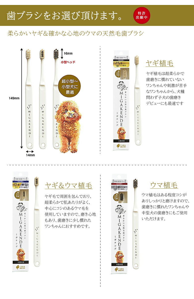 【ミガケンデMIGAKENDE天然毛歯ブラシ】犬用愛犬ワンちゃん小型犬犬用歯ブラシペット用歯ブラシ【ペット専用歯磨きジェルデンタアプローチペティ25g】dentaapproachpetyコウヤマキエキス