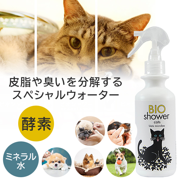 楽天市場 Bio Shower 酵素ミスト 猫用 100 天然由来 介護 シャワー お風呂嫌いのペットに 猫 ねこ 流さないシャワー ドライシャワー 除菌 消臭 グルーミング 耳掃除 酵素 ミネラルウォーター 安心 安全 Bio Shower 想いを繋ぐ百貨店 Tsunagu