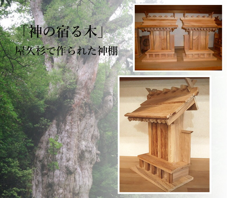 屋久杉の神棚 モダン シンプル 壁掛け 一社 工芸品 伝統工芸 職人 手作り 太宰府工芸 銘木 厄が過ぎる 厄除け 長寿 繁栄 厄除け 開運 繁栄 会社 開業 事務所 Sandjfisheries Co Uk