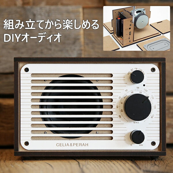 R1 Diyオーディオ 遊びごころ Diy 組み立て 高品質オーディオ Fmラジオ Bluetooth ブルートゥース オリジナリティ カスタマイズ エシカル ディーアイワイ 組み立てキット インテリア おしゃれ 送料無料 Monitor Systems Com