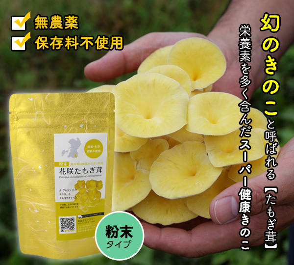 タモギタケ・たもぎ茸  サプリメント 120粒1か月分×3袋 エルゴチオネイン tamogipowder_600.jpg