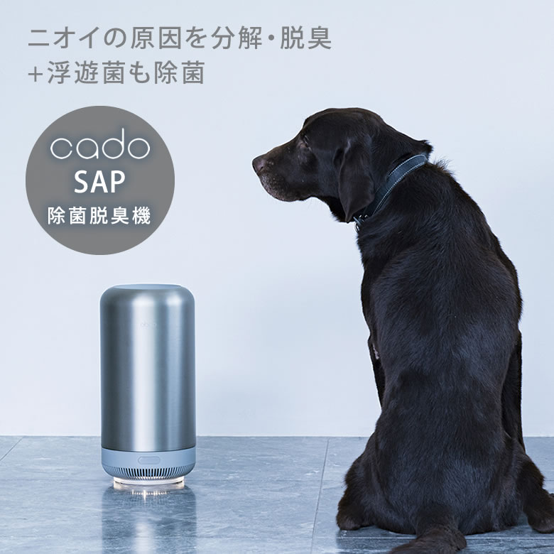 除菌脱臭機 cado SAP-001 カド— オゾン 発生器 値下げしましたの+