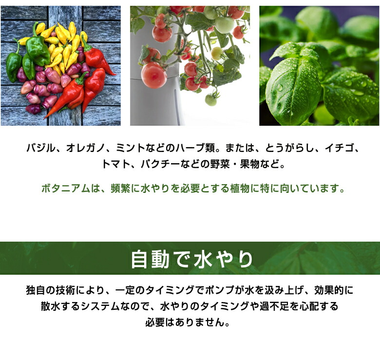 水耕栽培 キット おしゃれ 自動で水やり スウェーデン 水耕栽培セット コンパクト インテリア 家庭菜園 ミニマルデザイン 水耕栽培器 ガーデニング 水耕栽培プランター スマート