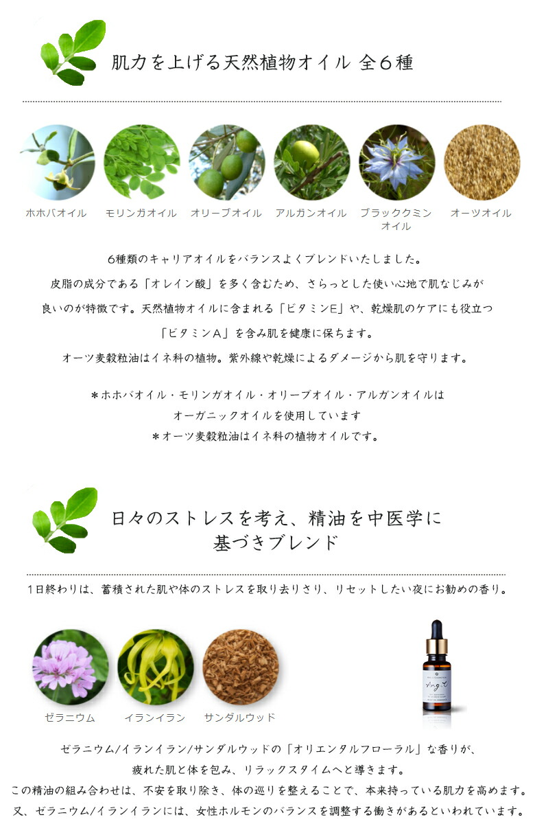 超目玉 Ang U アンジーユー ナイトオイルエッセンス 30ml モリンガオイル 美容オイル 夜用美容液 モリンガエキス スキンケア エイジングケア ホホバオイル オリーブオイル アルガンオイル ブラックミントオイル オーツオイル 人気が高い Upexgroup Co Uk