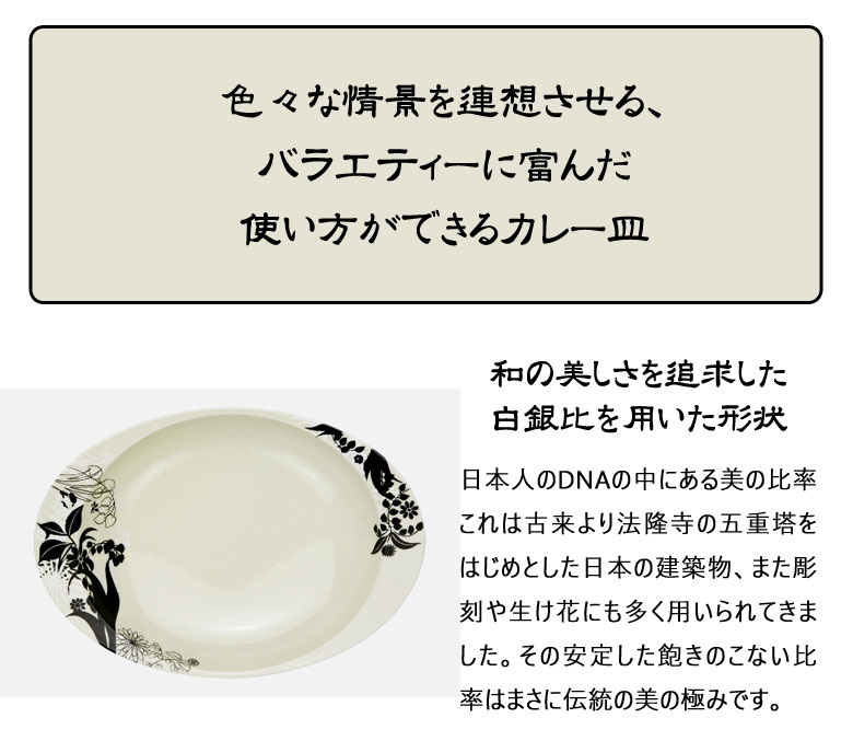 最安値 極上のカレー皿 有田焼 匠の蔵 選べる4点セット 4人家族向け シルエット ミラージュ 柄 花柄 ユニバーサルデザイン 深い 食器洗い機 食洗器 対応 持ちやすい 軽い 強い 電子レンジ対応 ペア 器 高級 プレゼント お祝い ギフト 三光堂 父の日 母の日 誕生日 新居