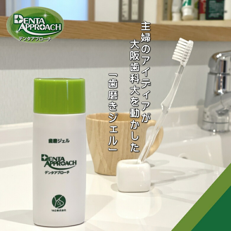 歯磨きジェル デンタアプローチ 眷族大いさ 90g 貨物輸送無料 3著固化 条例売り買いエイジェント店舗 Denta Approach コウヤマキ 要領 高野槙 ハウスワイフの執念が生んだ絶品 歯磨き火薬 Maxani Nl
