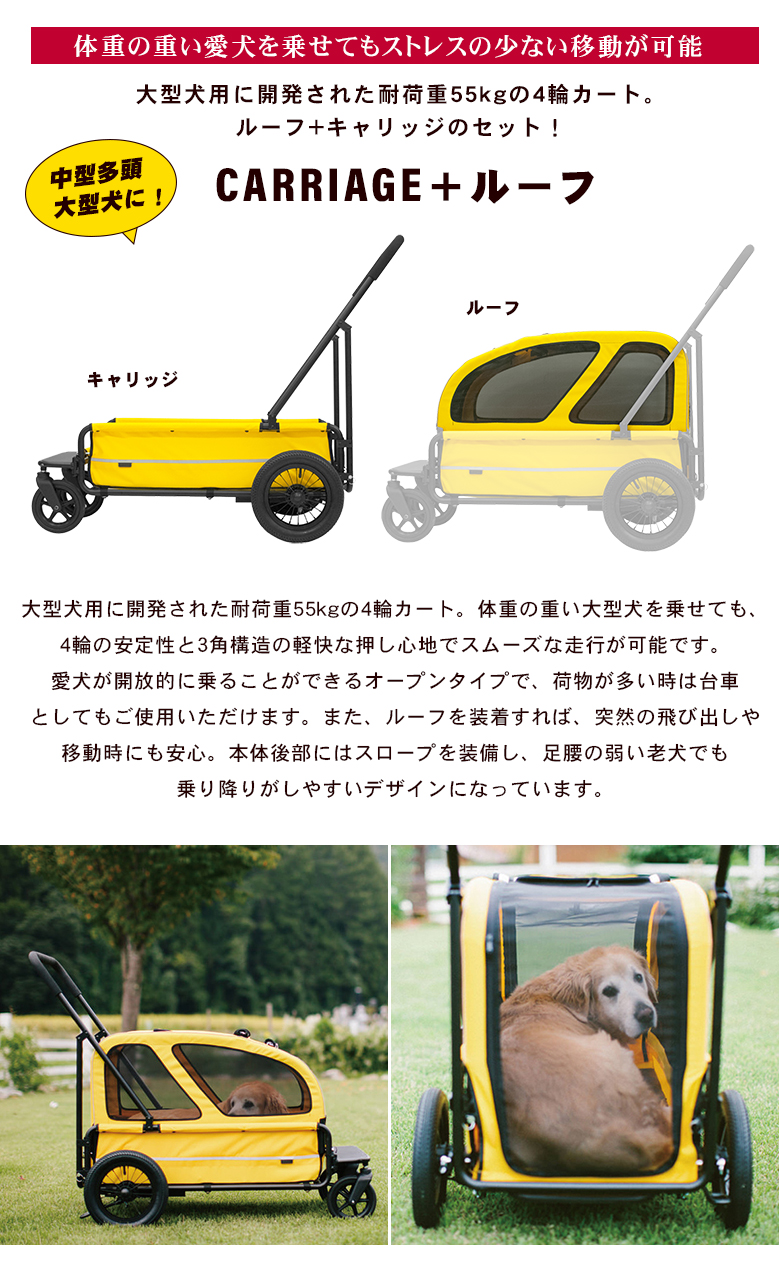 最大44%OFFクーポン AIRBUGGY CARRIAGE ルーフ キャリッジ フルセット