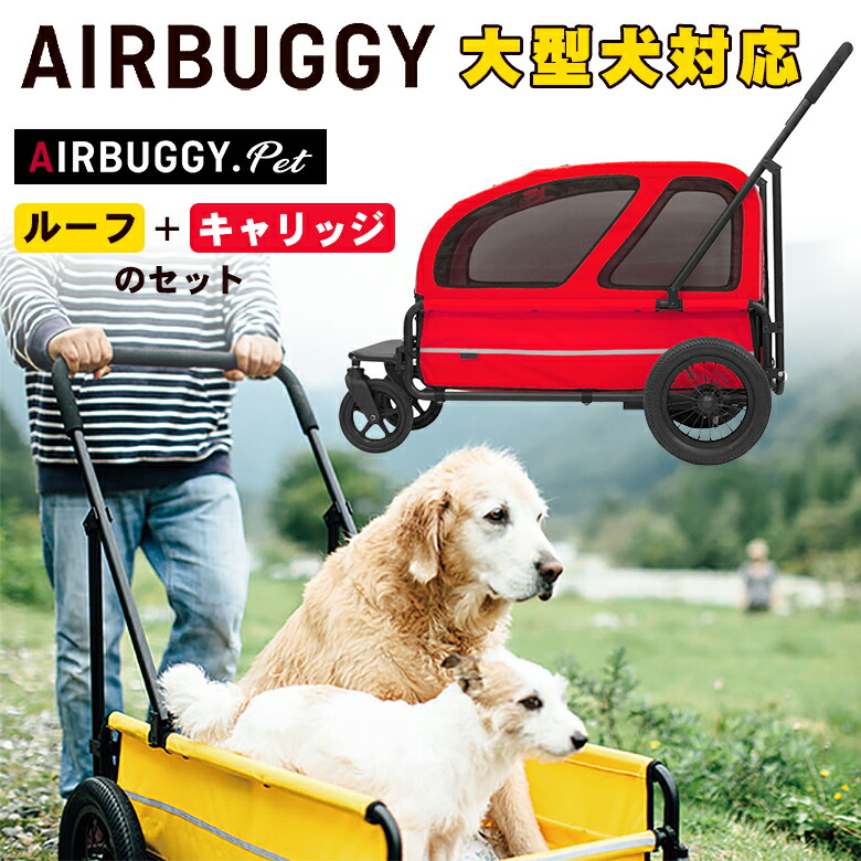 訳ありセール AIRBUGGY CARRIAGE ルーフ キャリッジ フルセット