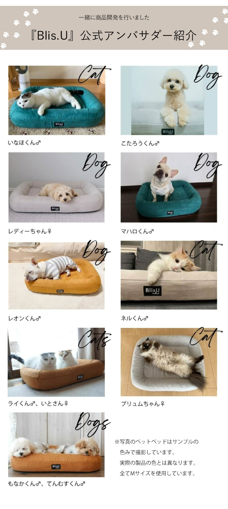 Blis U ペットベッド 高反発 猫用ベッド 犬用ベッド ブリス Mサイズ 体圧分散 丸洗い 洗濯機 クッション 洗える